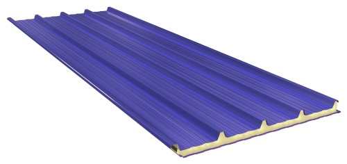 BROLLO TETTO TD5_5005.jpg